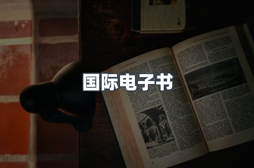 国际电子书